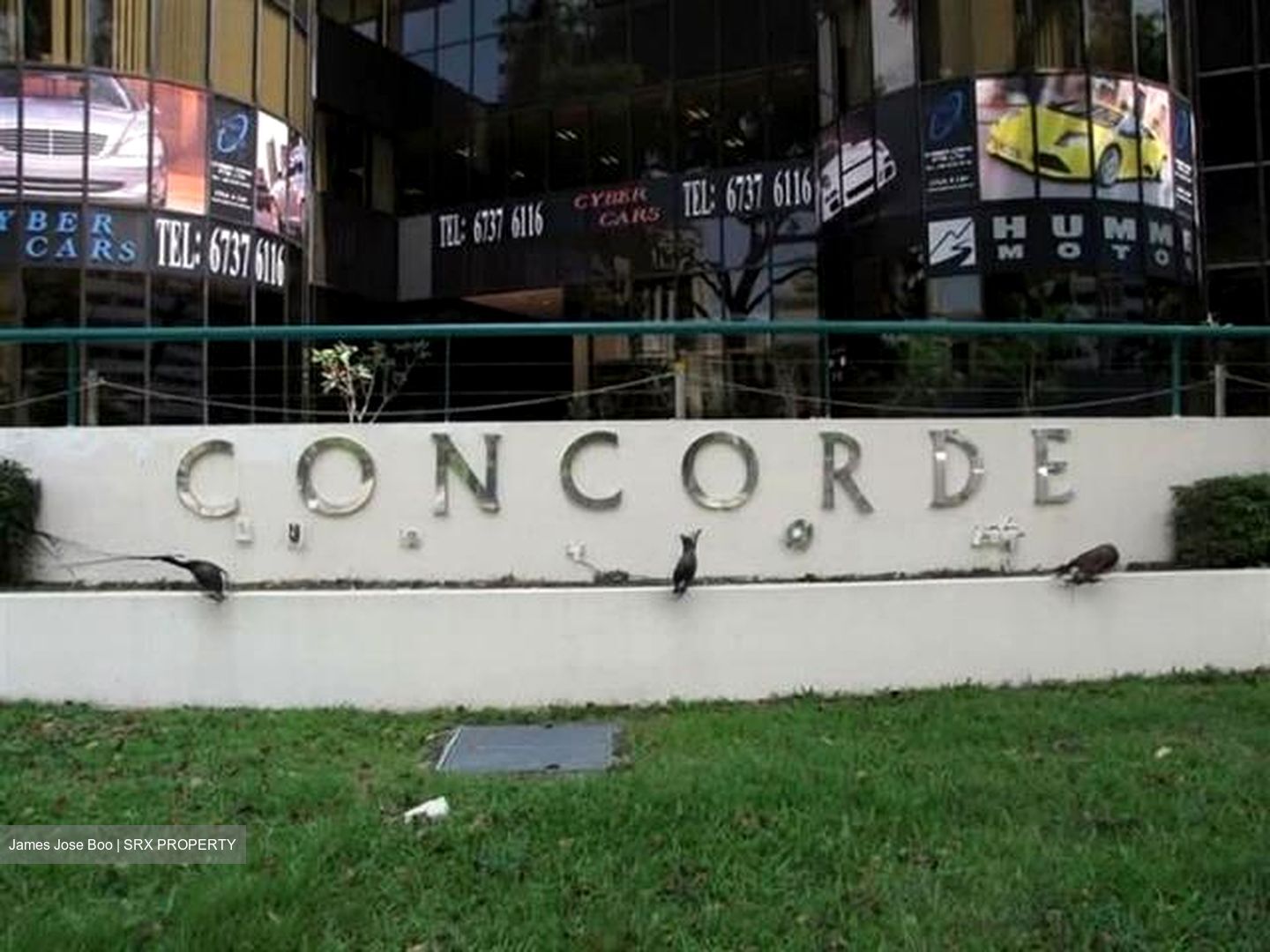 Concorde Shopping Centre (D3), Shop House #639052491